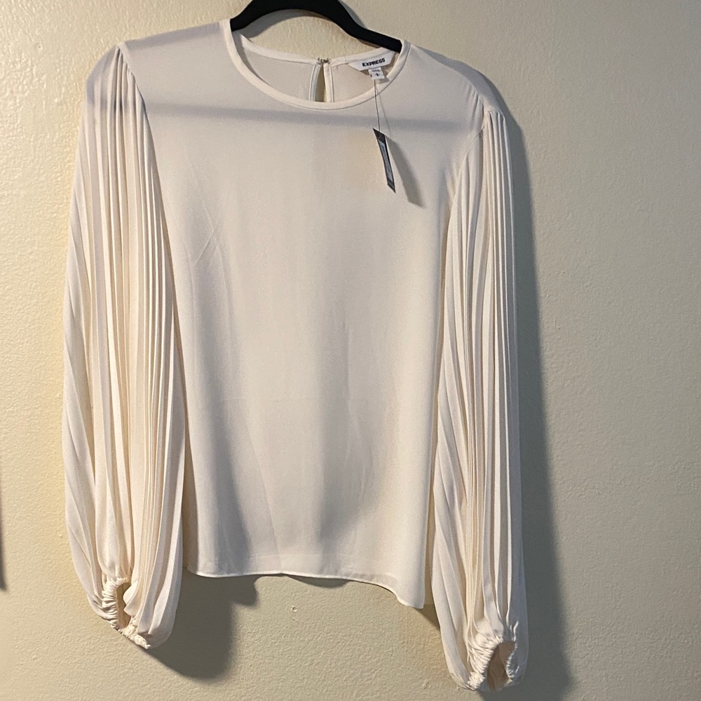 Aritzia Cream Blouse with Pleated Sleeves